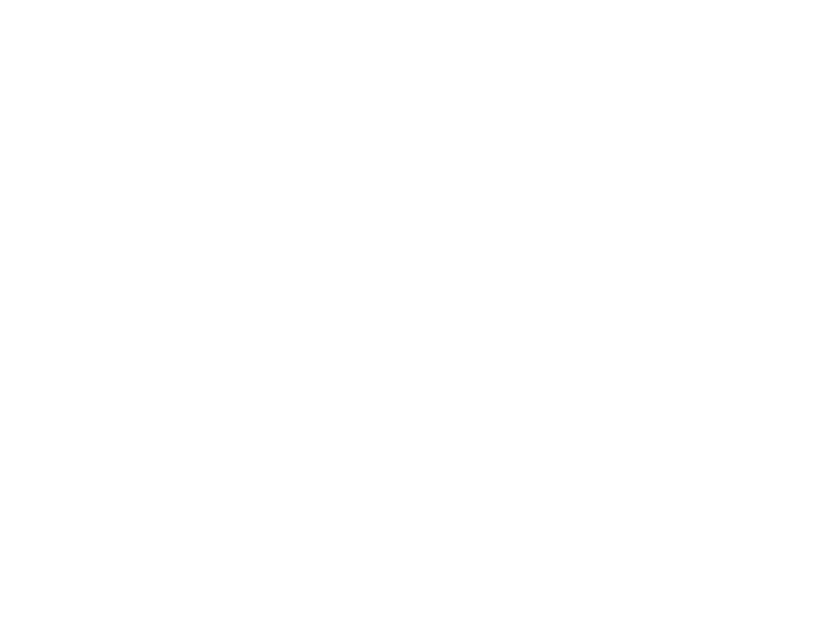 Fast Screen Print